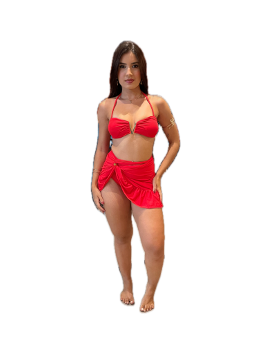 Fundo de IMG_0186 Removido